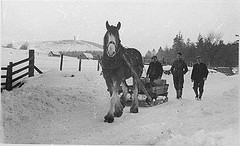 Ploughing in Snow